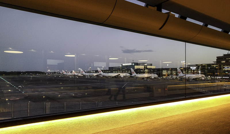 A fleet of JAL airplanes at Narita airport.